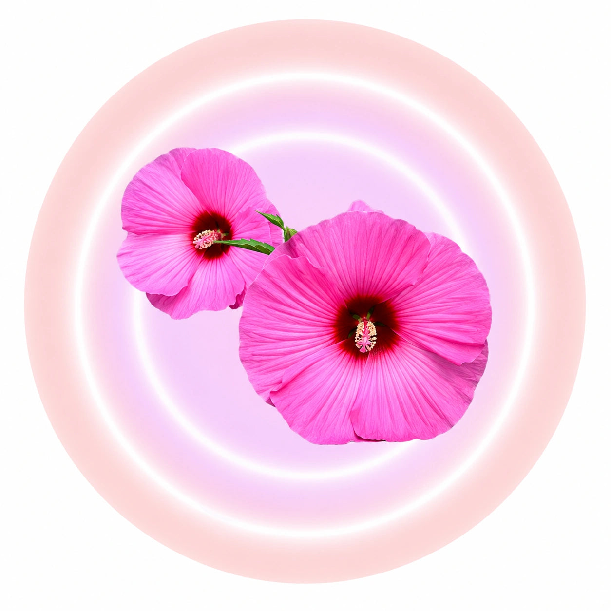 Flowering