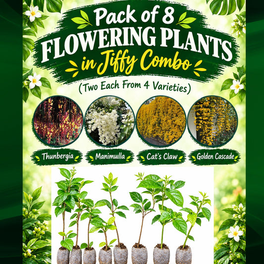 8 Flowering Plants ( 2 each from 4 varieties ) in Jiffy Super Saving Combo