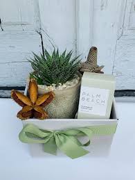 GIFT BOX OF SUCCULANTS