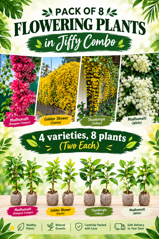 8 Flowering Plants ( 2 each from 4 varieties ) in Jiffy Super Saving Combo